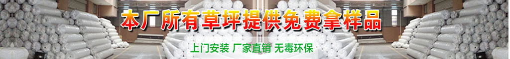 揚(yáng)州塑料人造草坪生產(chǎn)廠家