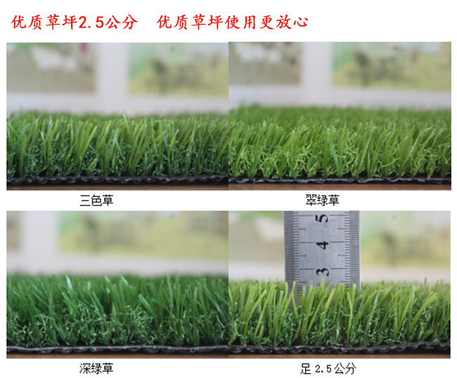 優(yōu)質(zhì)2.5公分高無(wú)土草坪多少錢一平方？