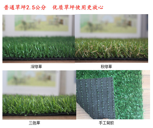 普通2.5公分高無(wú)土草坪多少錢一平方？