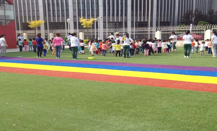 幼兒園塑料草坪每平米價(jià)格多少錢一平？